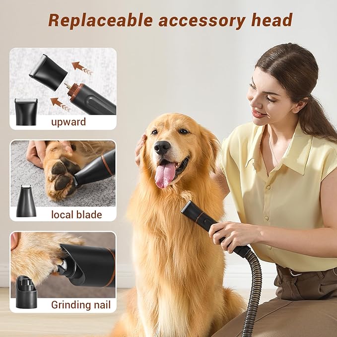 ChatGPT said:  Powerful Dog Grooming Vacuum Kit – 13,000Pa Suction, 99% Hair Removal, 3.5L Dust Capacity, 16 Grooming Tools for Home Pets