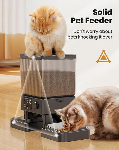 Automatic Cat Feeder for 2 Cats, 5L Timed Dry Food Dispenser for Small Pets, 20-Cup Capacity